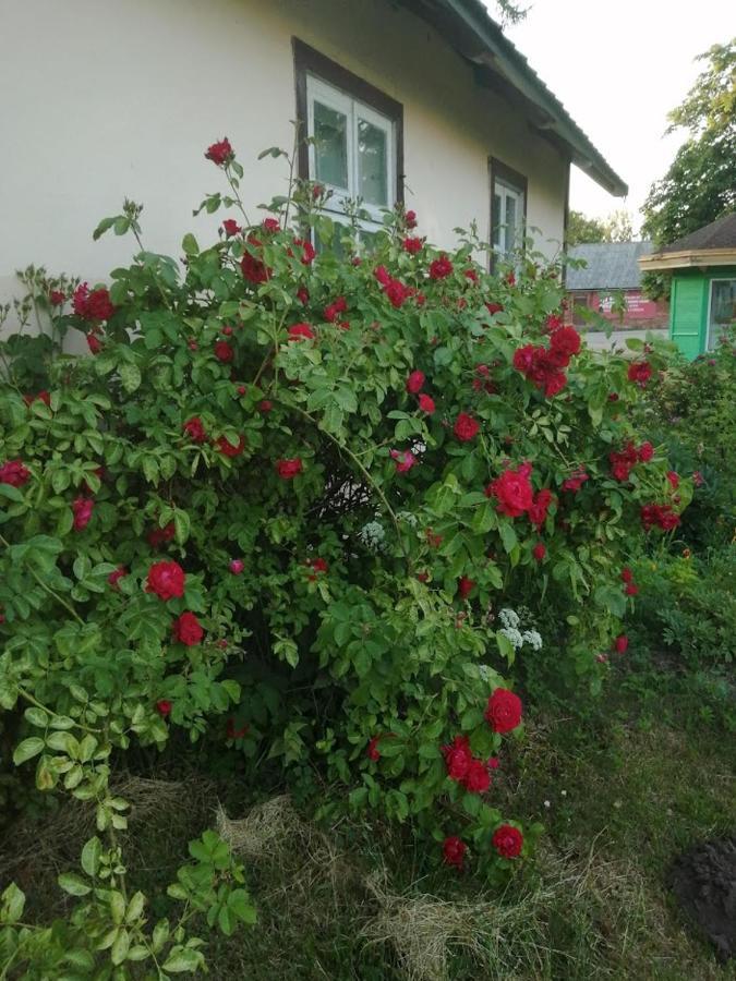Apartment Kica Kroga